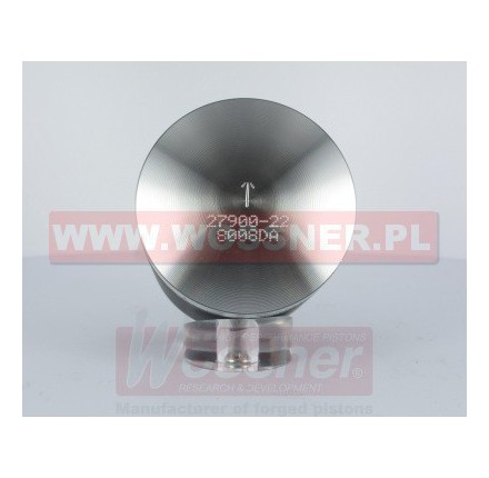 Tłok  o średnicy 55.95mm. - 8008DB