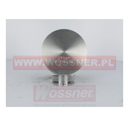 Tłok  o średnicy 55.44mm. - 8173D050