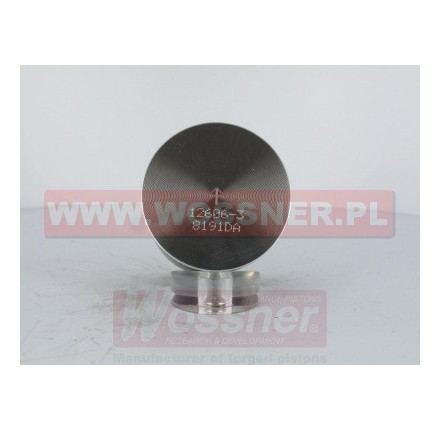 Tłok  o średnicy 48.45mm. - 8191D100