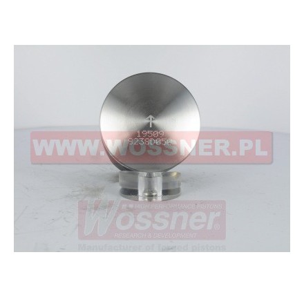 Tłok  o średnicy 46.95mm. - 8238DA