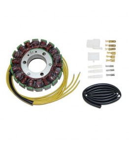Stator ESG020
