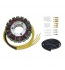 Stator ESG030