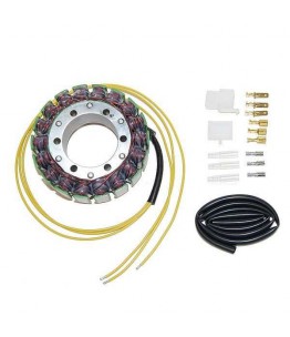 Stator ESG080
