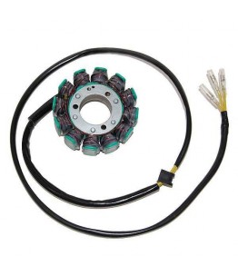 Stator ESG015