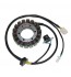 Stator ESG077