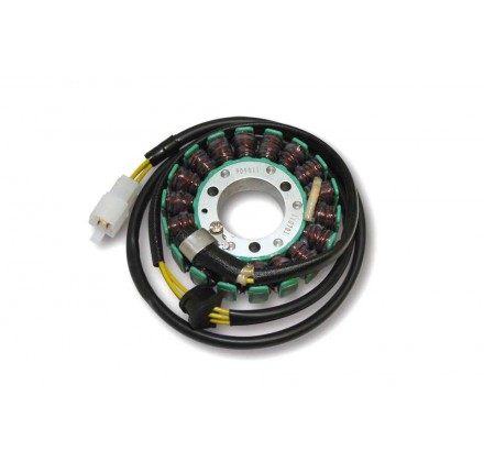 Stator ESG011