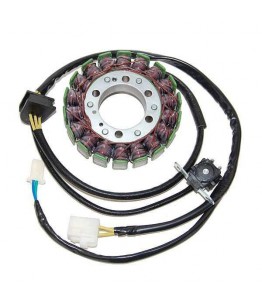 Stator ESG731