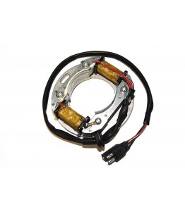 Stator ESC8081