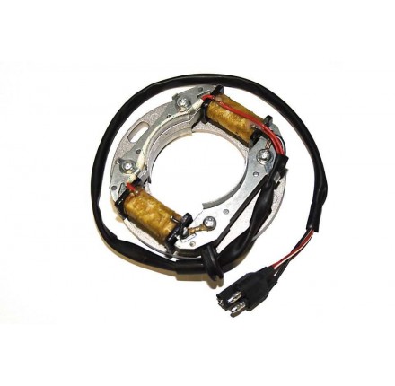 Stator ESC8081