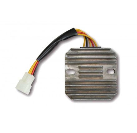 Regulator napięcia RG 20