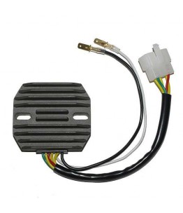 Regulator napięcia RG 24