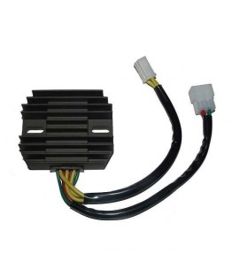 Regulator napięcia RG 25