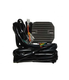 Regulator napięcia RG 45