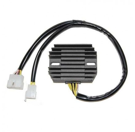 Regulator napięcia ESR 296