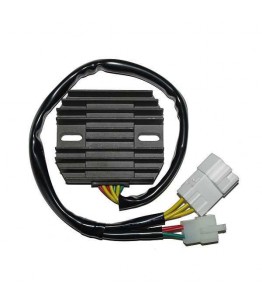 Regulator napięcia ESR 436