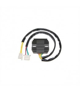 Regulator napięcia ESR 641