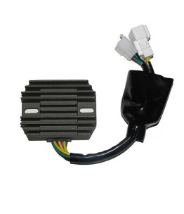 Regulator napięcia ESR 691