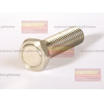 Śruba magnetyczna ze stali nierdzewnej M8