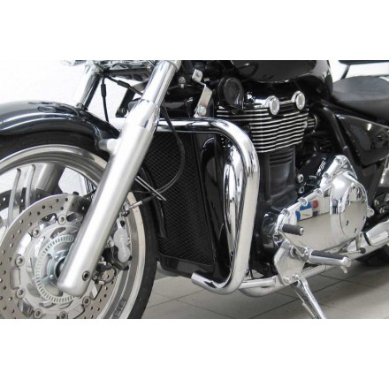 Fehling gmole  Triumph Thunderbird