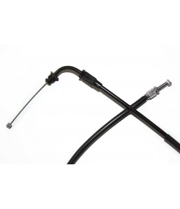 Linka ssania, Triumph...