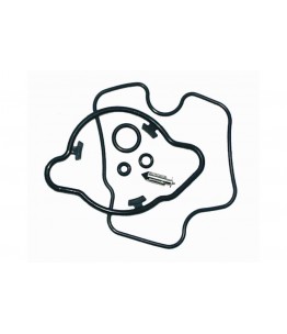 Zestaw naprawczy gaźnika do...