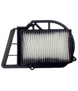 Champion filtr powietrza...