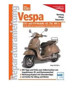 Nr 5293 Podręcznik serwisowy Vespa GTS 250/300, 06-