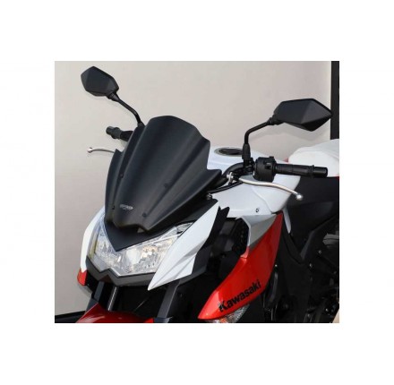 MRA Racing ekranu, Kawasaki Z1000, 10-13, dym