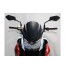 MRA Racing ekranu, Kawasaki Z1000, 10-13, dym