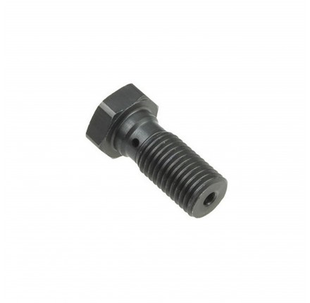 TRW śruba drążona krótka M10x1,25 srebrna