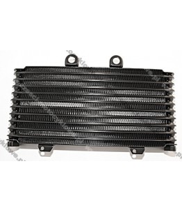 Chłodnica oleju SUZUKI GSF 1200 Bandit, WVA9, 01-05